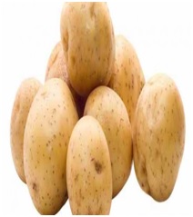 Xumaanta Qalbiga