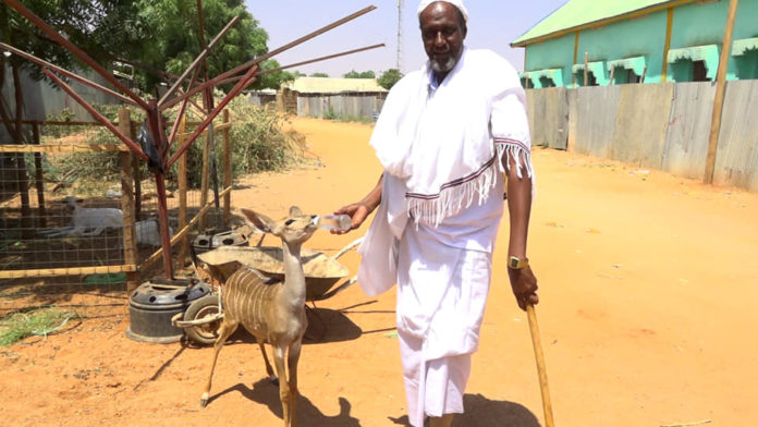 Sawirka Goodir Lagu koriyay Masaasad8