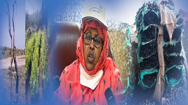 Wasiirka Deegaanka