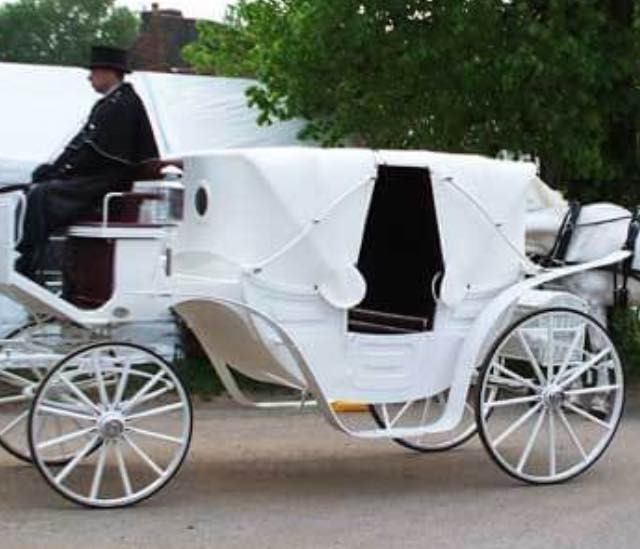 Xikmaduna waa degdegu