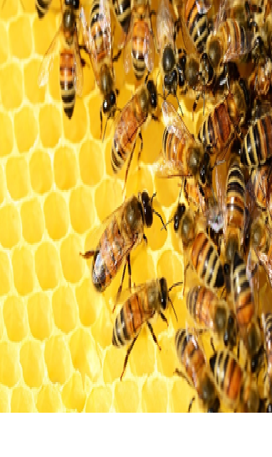 re