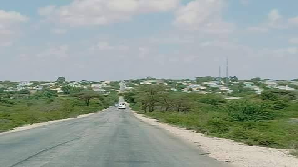 Degmada Arabsiyo