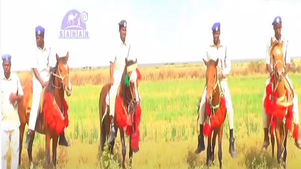 Konton Faras oo la Tababaray