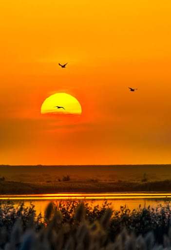 FB_IMG_1608488829525