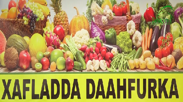 Iskaashatada ururka Talo-wadaag