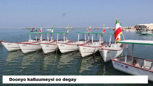 Doonyo kalluumeysi oo degay