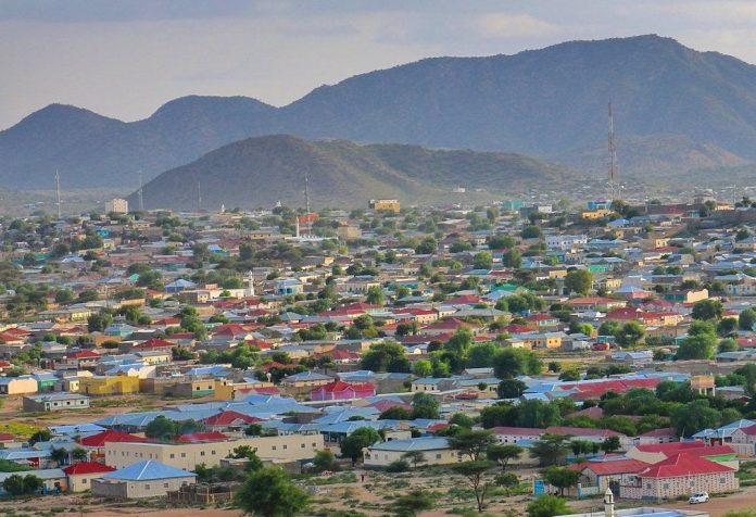 Borama2