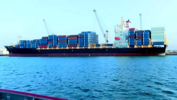 217151724_557741592314390_1419384503965799202_n