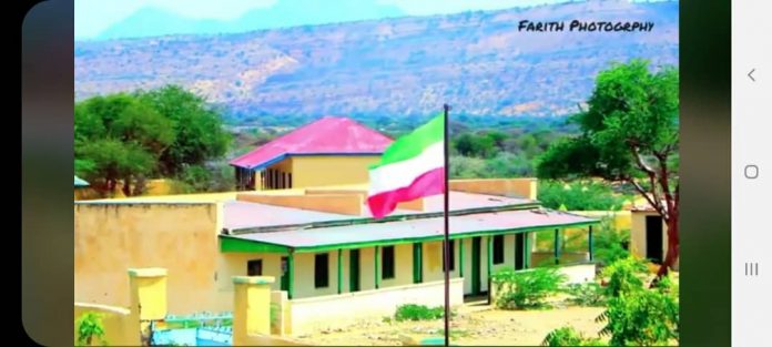 WhatsApp Image 2021-08-11 at 16.17.11 (1)