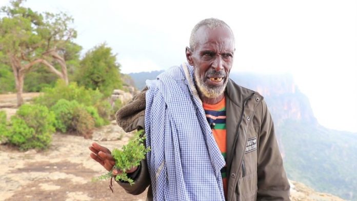 Wax badan ka ogow Buurta Dalxiiska Daallo iyo Khayraadka ku duuugan