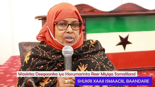 “Waxba maan qaban kareen waxna noomay suurto galeen haddii aanu madaxweynaha Somaliland nagu bar-bar taagnayn”... wasiirka deegaanka