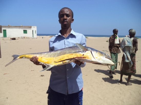 Kalluumaysiga Xaaladihii Hore iyo Xilligan Casriga ah