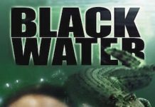 Dhacdooyin Run Ah Oo Filimo