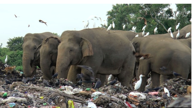 Screenshot 2022-01-17 004228