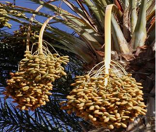 Capture2