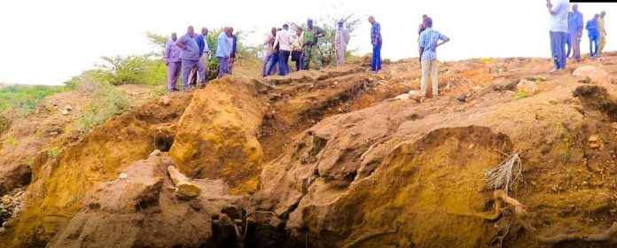 Roobab ka Da’ay Borama iyo Degaanada Hoos Yimaada
