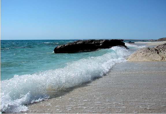 Screenshot 2022-08-02 210456