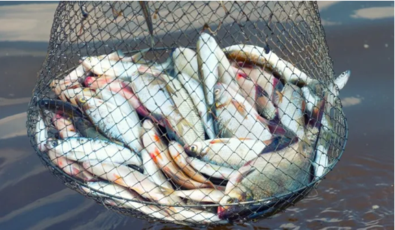 Screenshot 2022-08-02 210729