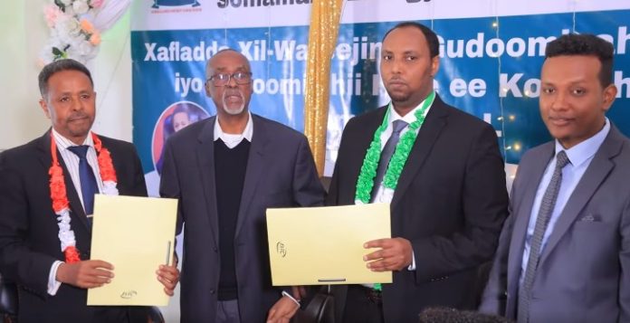 Guddoomiyaha Tamarta