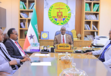 Wasiirka Beeraha JSL oo Iftiimiyay Faa’iidadda Mashruuca Wajaale