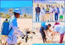 Mashruuc lagu daryeelayo caafimaadka xooloha oo Baki laga fuliyey