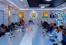 Isku-duwidda Cashuuraha: Tallaabo Lagu Xoojinayo Dakhligga Dawladda