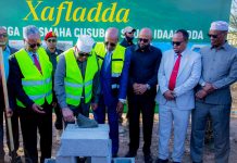 Madaxweynaha Somaliland oo Ku Baaqay Ilaallinta Dhulka Danta Guud iyo Bixinta Cashuuraha