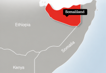 ActionAid UK: “Somaliland Waa Dowlad Madaxbannaan oo leh Taariikh Gaara iyo Doorashooyin Dimuqraadi ah”