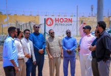 Xukuumadda oo Dib-u-dayactir iyo Casriyayn ku Samaynaysa Garoonka Hargeysa Stadium