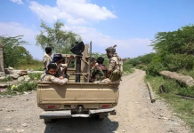Ciidanka Dowladda Yemen oo Dib-U-qabsaday Goob Muhiim ah Oo aad ugu Dhow Bab Al-Mandab